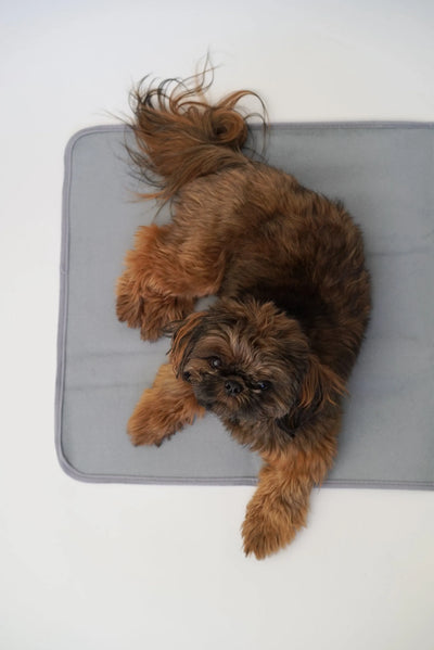 Thera-Pawz™ Pet Mat