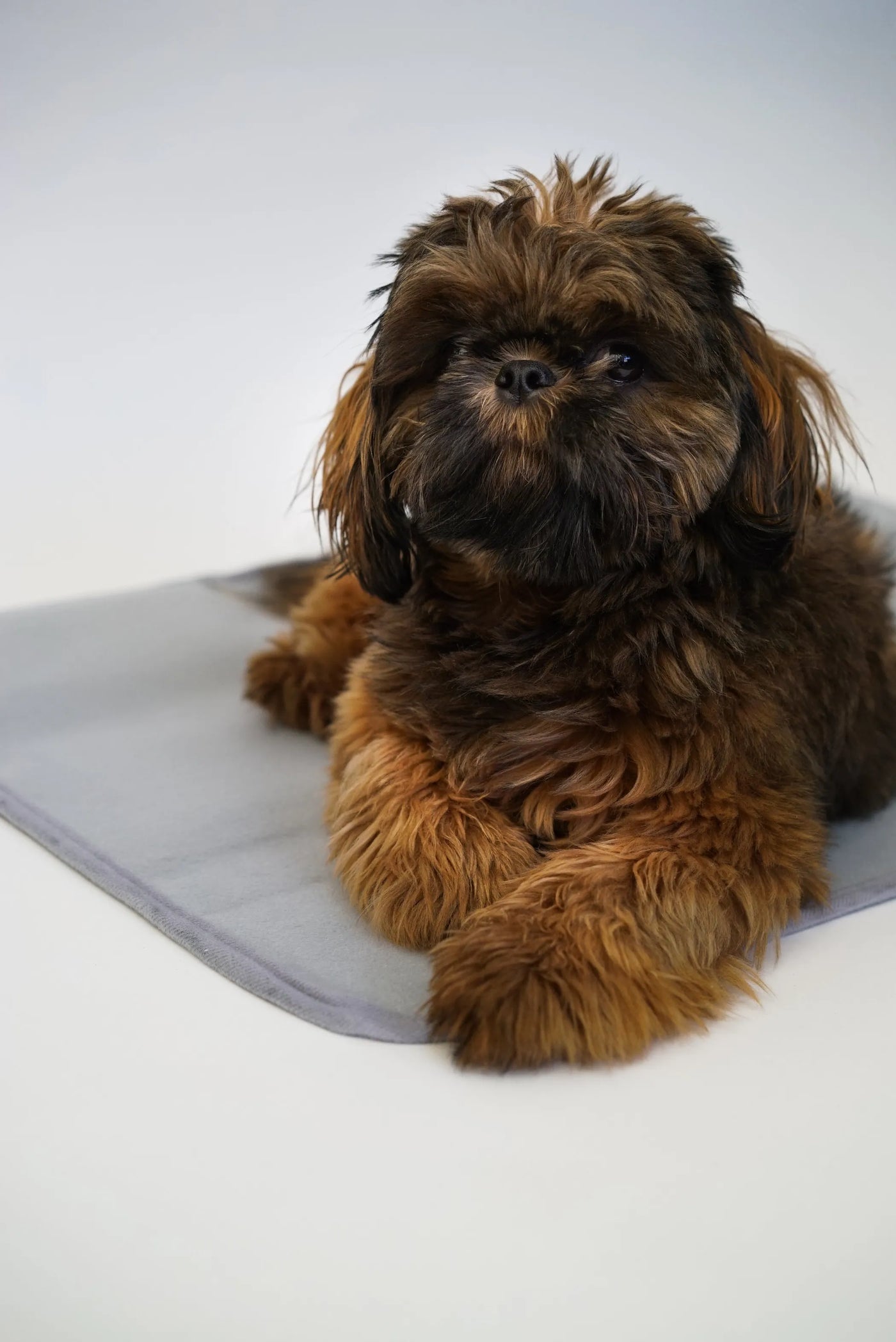 Thera-Pawz™ Pet Mat