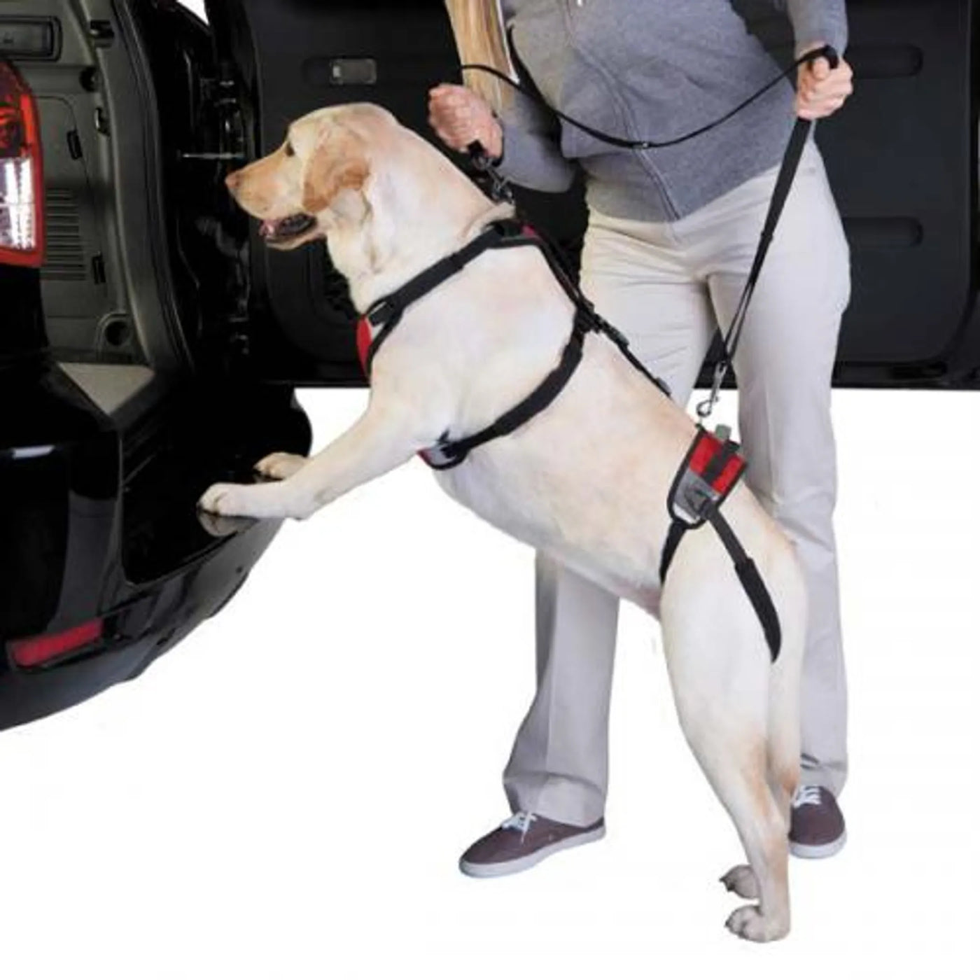 Total Pet Health® Lift & Go Lead