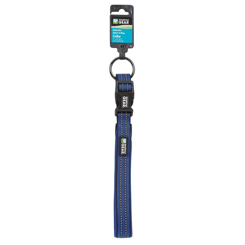 Reflective Padded Nylon Dog Collar XL Blu