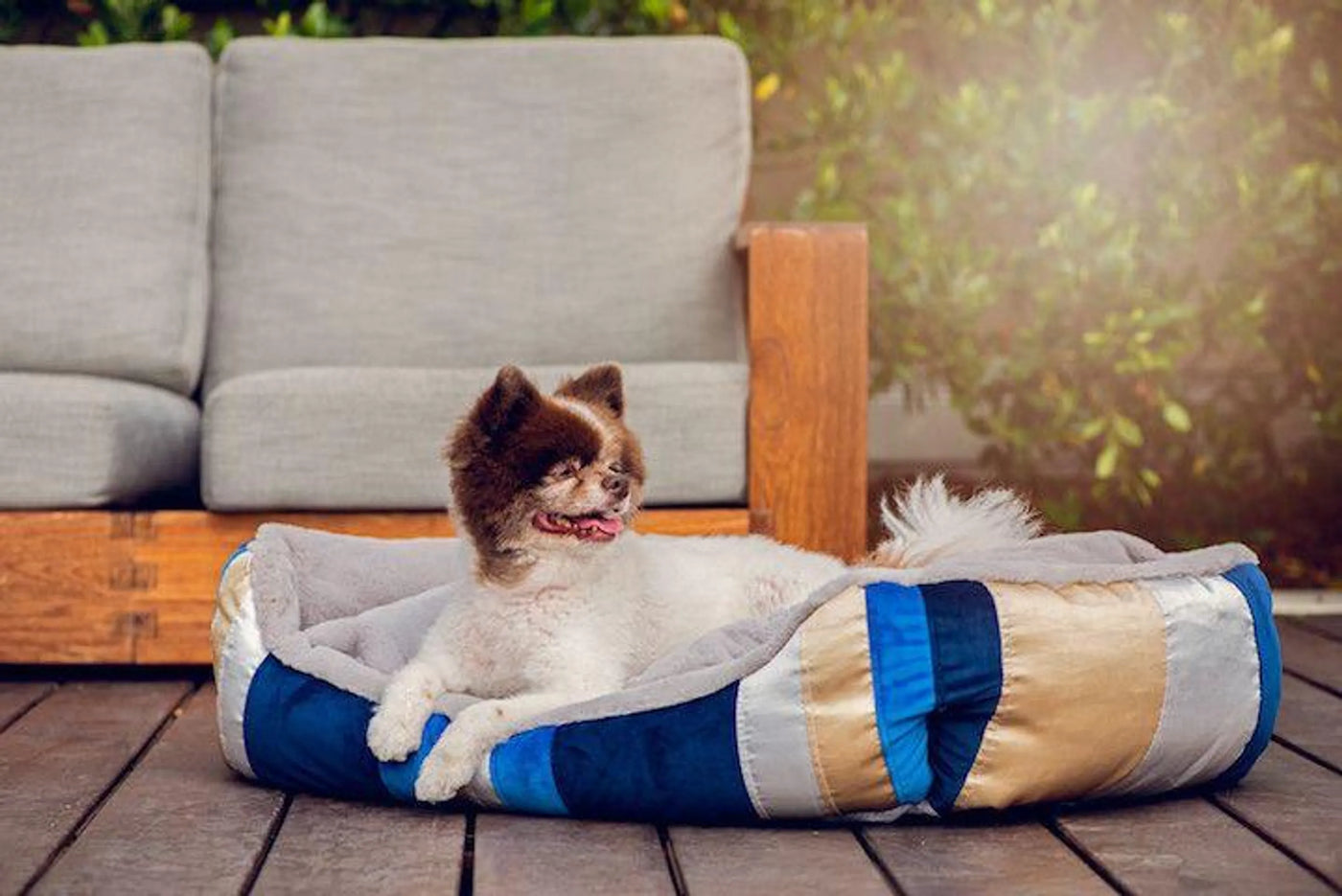 Petique Golden Waves Pet Bed