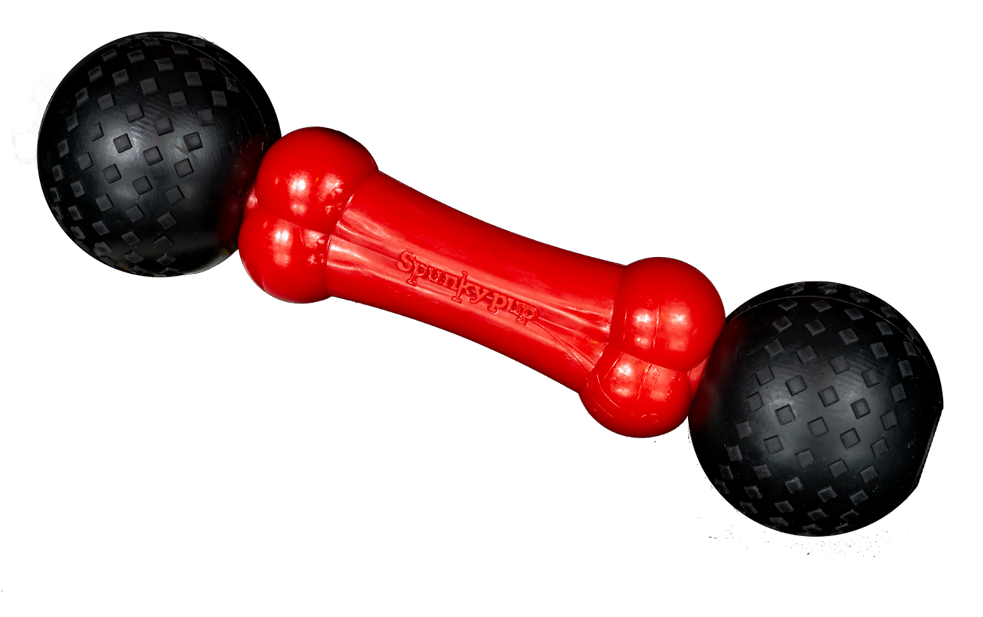 Spunky Pup® Fetch & Chew Bone