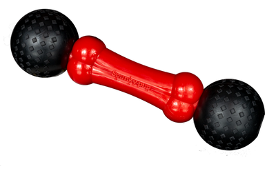 Spunky Pup® Fetch & Chew Bone